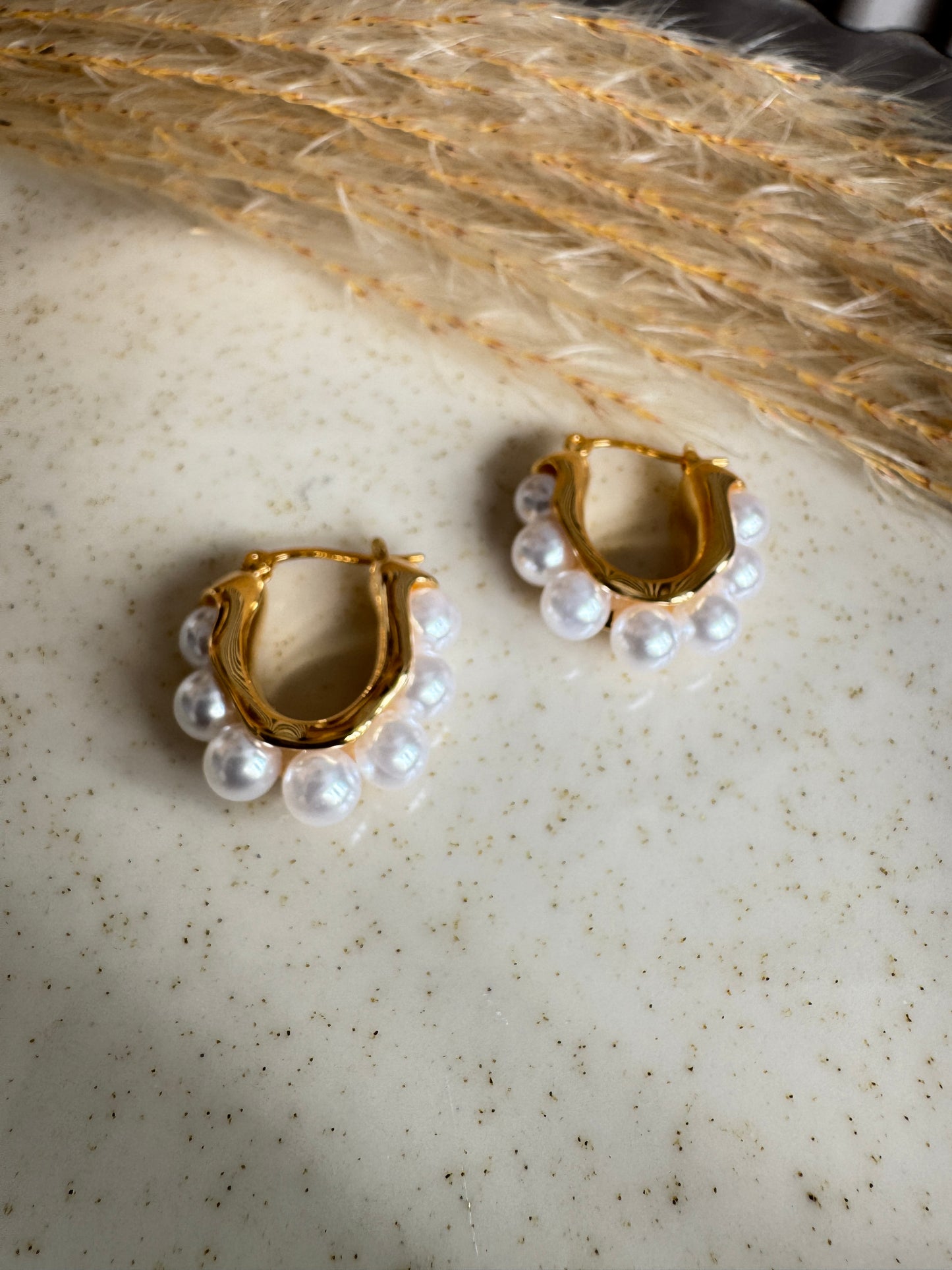 Tryant earrings