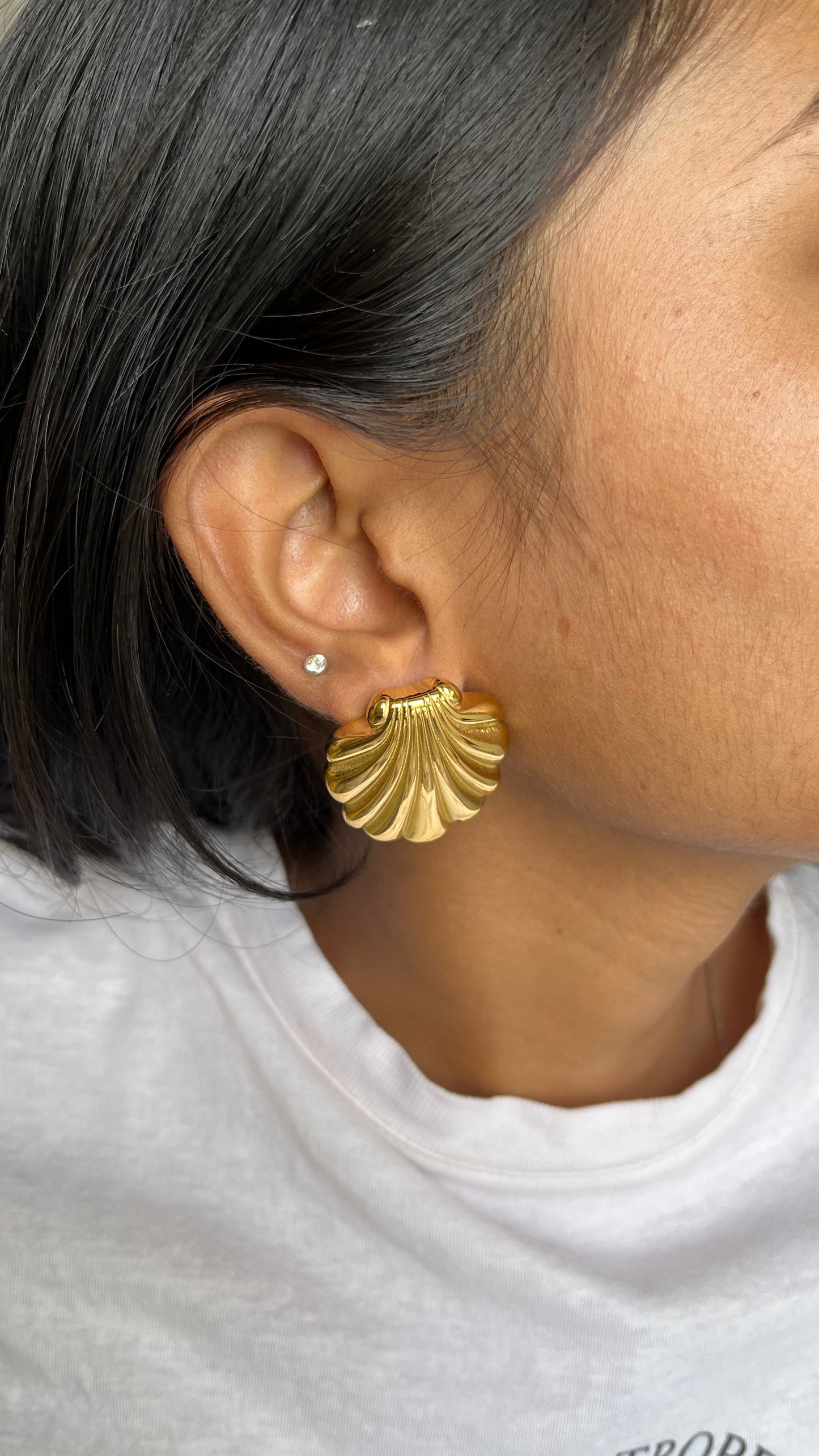 Shell Earings