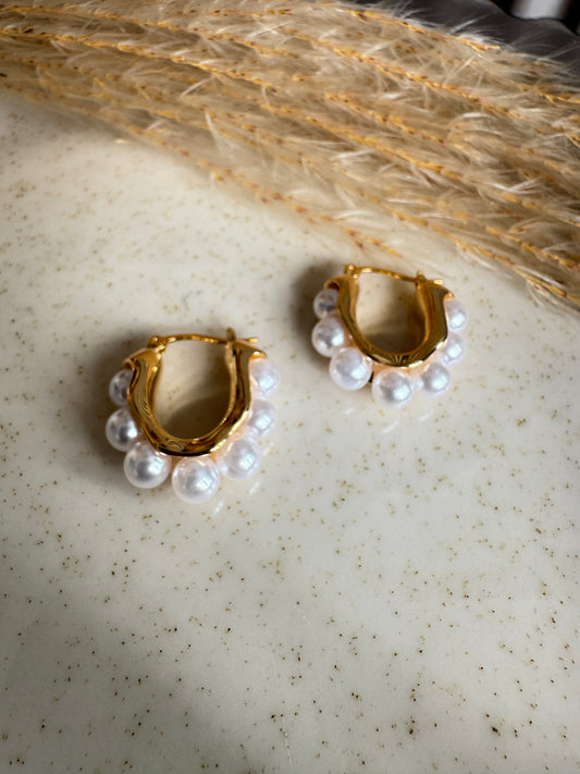 Tryant earrings
