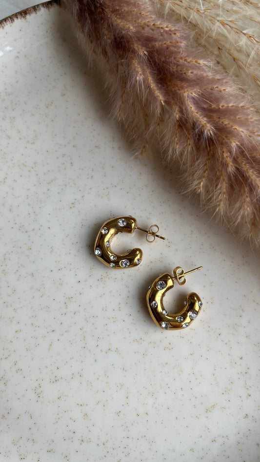 Diaz Earrings