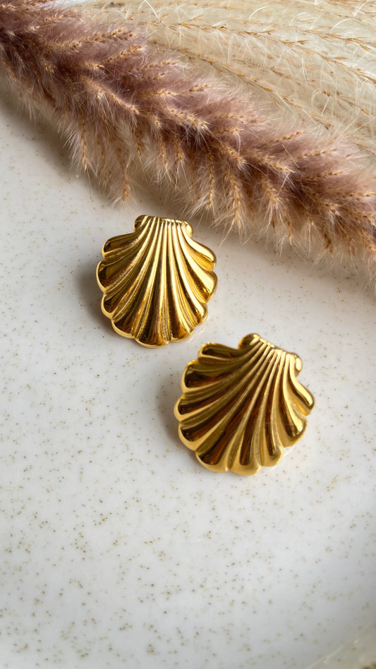 Shell Earings