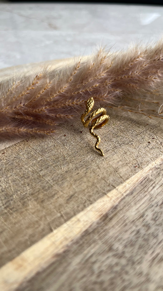 Riddle Snake Ring