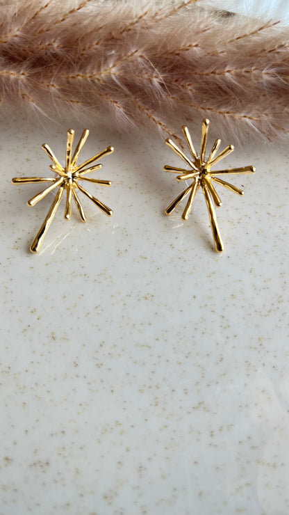 Trili earings