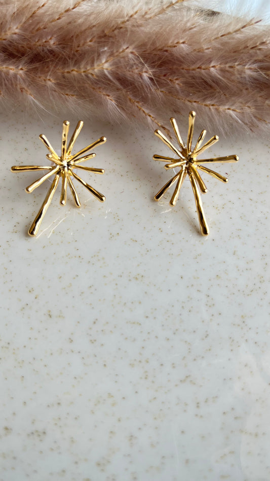 Trili earings