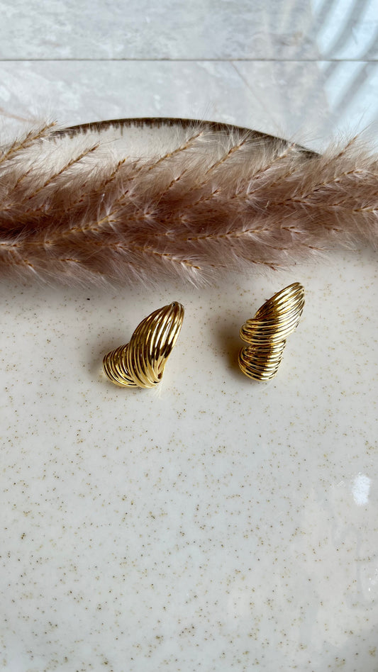 Fishi earings