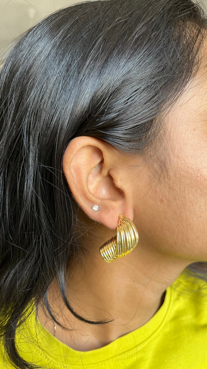 Fishi earings