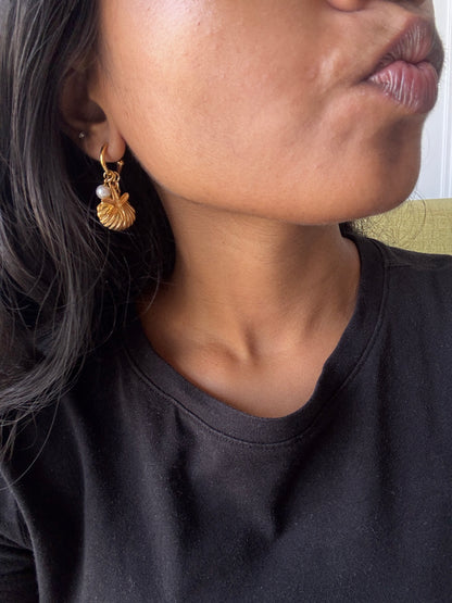 Shell Earings