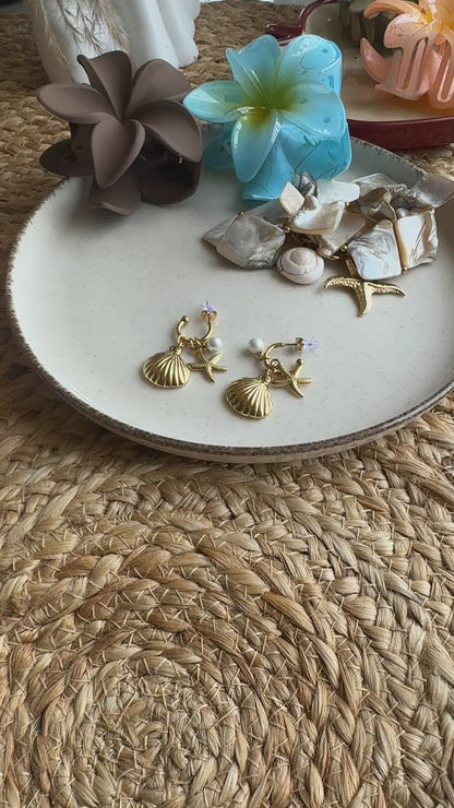 Shell Earings